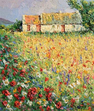 James S Brohan : Wild Flower Meadow