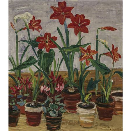 Anton Lamprecht : Amaryllis