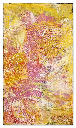 Emily Kame Kngwarreye : Untitled (Alhalker)