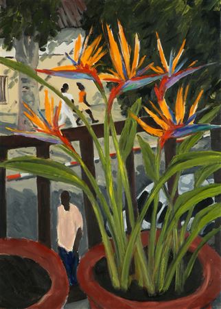 Olga Kundina : Bird of Paradise Flower, 2024