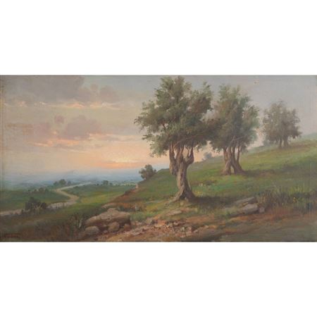 Vincenzo Udine : Landscape and olive trees