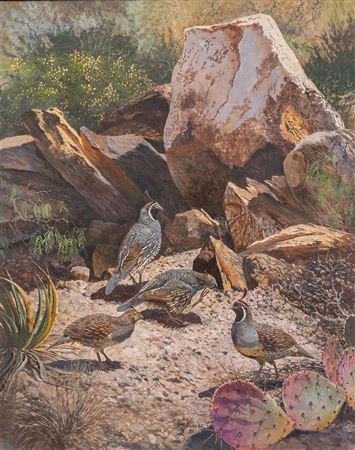 Travis Keese : California & Gambles Quail