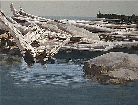 Del Nichols : Landscape, driftwood at waters edge