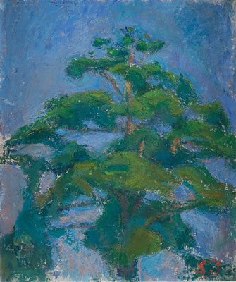 Sigrid Schauman : TOP OF A PINE TREE