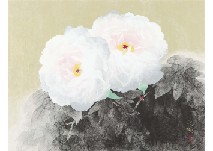 Takaaki Matsumoto : Fuki flower