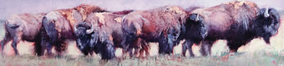 Jill Soukup : Bison in a Queue