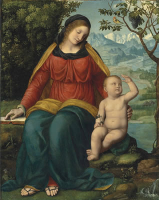 Bernardino (de Scapis) Luini : Madonna of the Grapevine