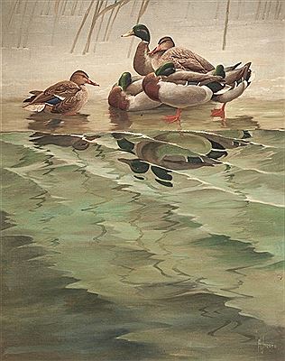 Francis Lee Jaques : Mallards