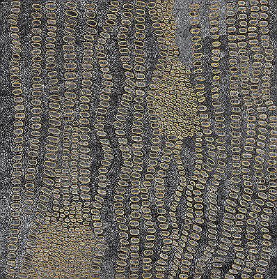 Ngoia Pollard Napaltjarri : SWAMPS NEAR OF NYRRIPI, (MY FATHER'S COUNTRY), 2007