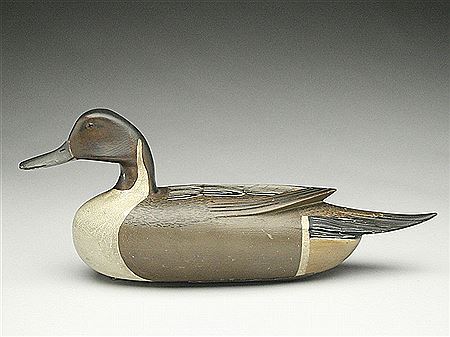 Caleb Ridgway Marter : Exceptional pintail drake