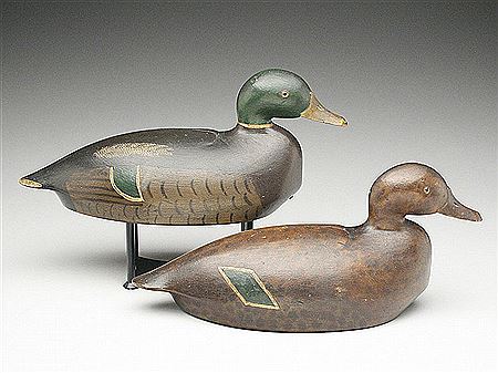 Nathaniel Quillen : Extremely rare pair of mallards