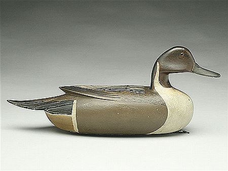 Caleb Ridgway Marter : Rare pintail drake