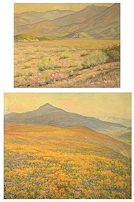 Harry Victor Law : Two Works: ''The Floral Rag Carpet'' and Pink flowering desert