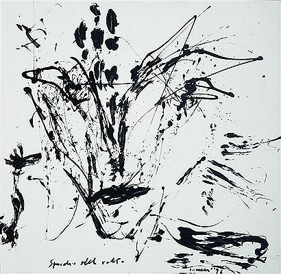 Stefano Tonelli : Specchio del volto, 1996