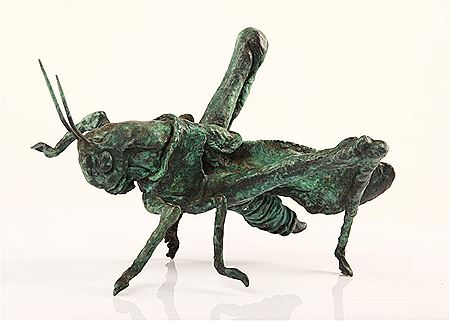 Agnes Nagy : Grasshopper