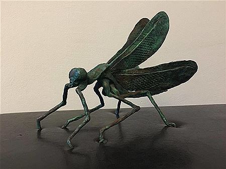 Agnes Nagy : Dragonfly