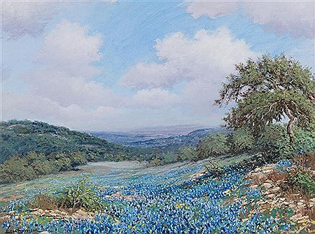 Eric Harrison : Bluebonnets