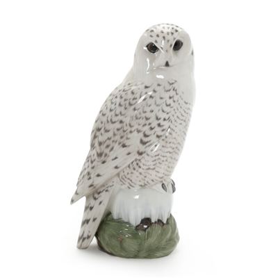 Peter Herold : Snowy Owl