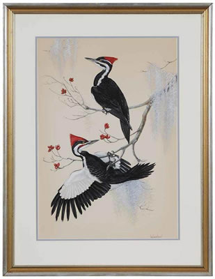 Anne Worsham Richardson : Pileated Woodpeckers