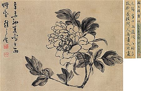 Zhibi Zhao : Peony