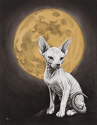 Monika Paruzel : Sphynx