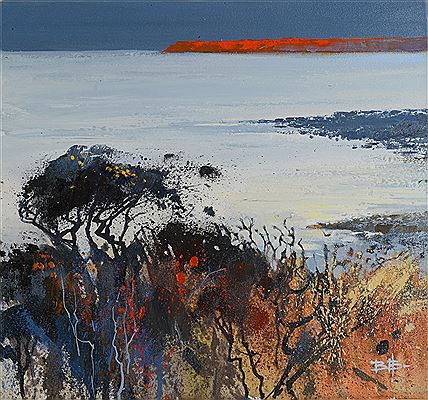 Barrie Bray : Mounts Bay from Boat Cove