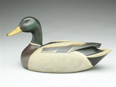 Enoch Reindahl : Outstanding mallard drake