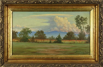 John Warren Doty : Cornfield