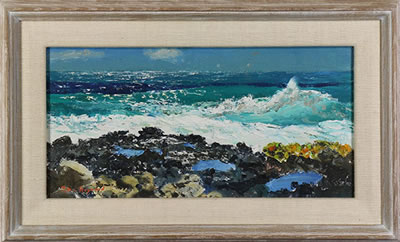 Peter Hayward : Hawaiian Coast