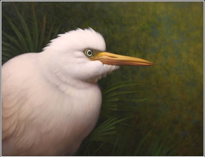 Russell Gordon : Egret