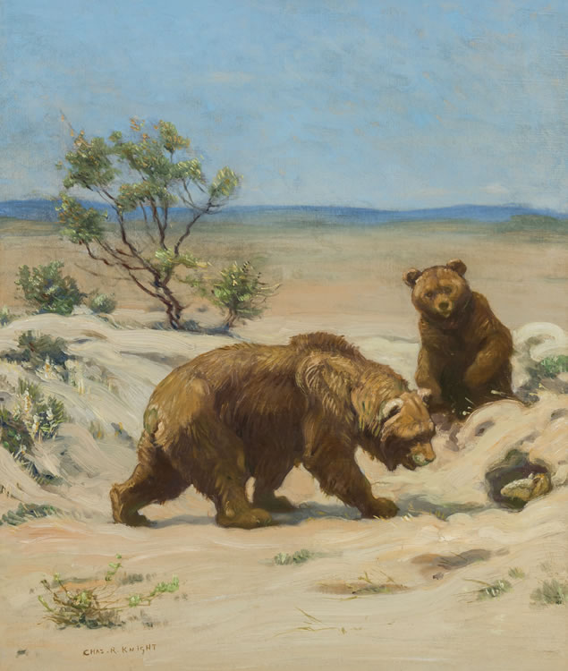 Charles Robert Knight : From Auction Records