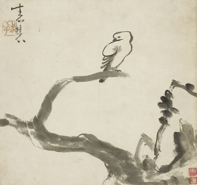 Shihui Niu : BIRD PERCHING ON TREE BRANCH