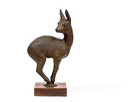 Coert L Steynberg : Klipspringer