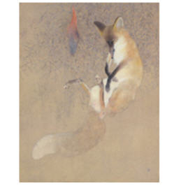 Koichi Takeuchi : Fox