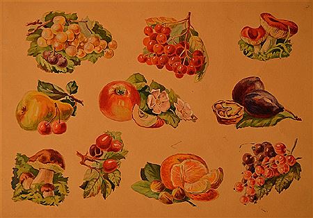 Tatiana Dmitrievna Holmsky : Fruits and berries