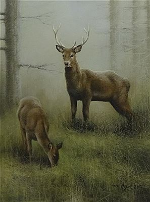 John Naylor : STAG AND DOE IN WOODLAND