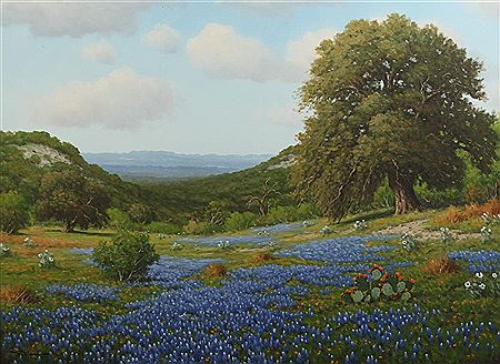 Don Warren : Bluebonnet Landscape