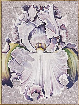 Leslie Nesbitt : Light Lavendar Iris '84'