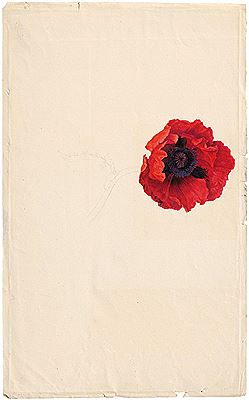 Franz Blaschek : Roter Mohn