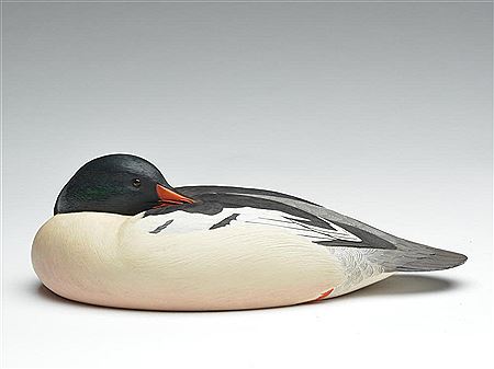 Joseph Wooster : American merganser drake