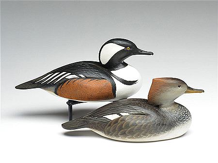 Joseph Wooster : Rigmate pair of hooded mergansers