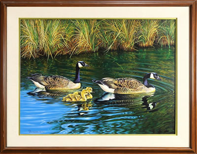 John Bradshaw : Canadian Geese, 1990