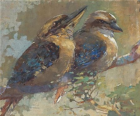 James A Crisp : Kookaburras