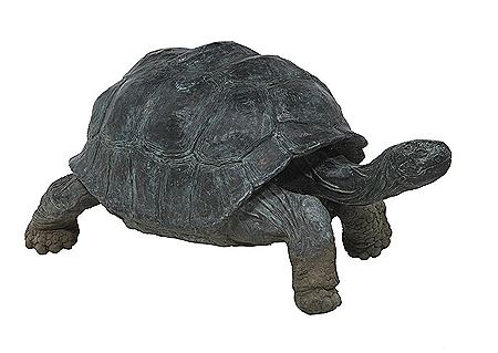 Tom Knapp : 'Turtle', 1987