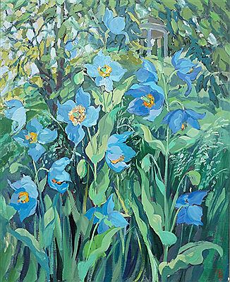 Elizabeth Jane Lloyd : Meconopsis Poppies