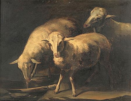 Carlos Fonseca : Sheep