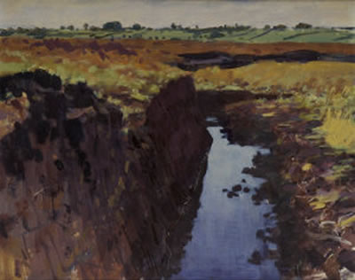 Gerald J Bruen : Galway Bog