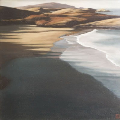 Guy Hanscomb : Beach on the Ards Penninsula