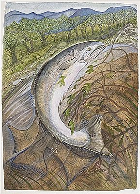 Pauline Bewick : The Irish Salmon