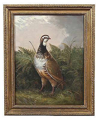 Henry Leonidas Rolfe : Game Birds Standing in Naturalistic Setting (3)